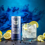 Boeser Kater Citrus Gin Tonic Geschmacksexplosion