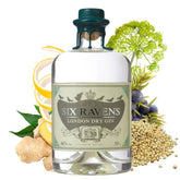 Six Raven London Dry Gin - GiNFAMILY