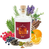 BeGINn Münchner Dry Gin - GiNFAMILY