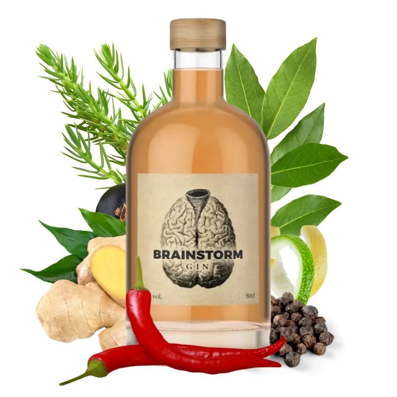 Brainstorm Original Gin - GiNFAMILY