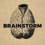 Brainstorm Rocks - GiNFAMILY