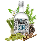 BREAKS Premium London Dry Gin - GiNFAMILY