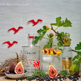 Galeb Dry Gin Perfect Serve