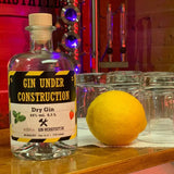 Gin under Construction - GiNFAMILY