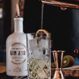 GINger GIn - GiNFAMILY