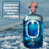 Layover Dry Gin Gate A42 - GiNFAMILY