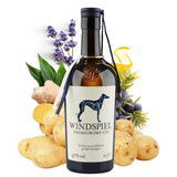Windspiel Premium Dry Gin - GiNFAMILY