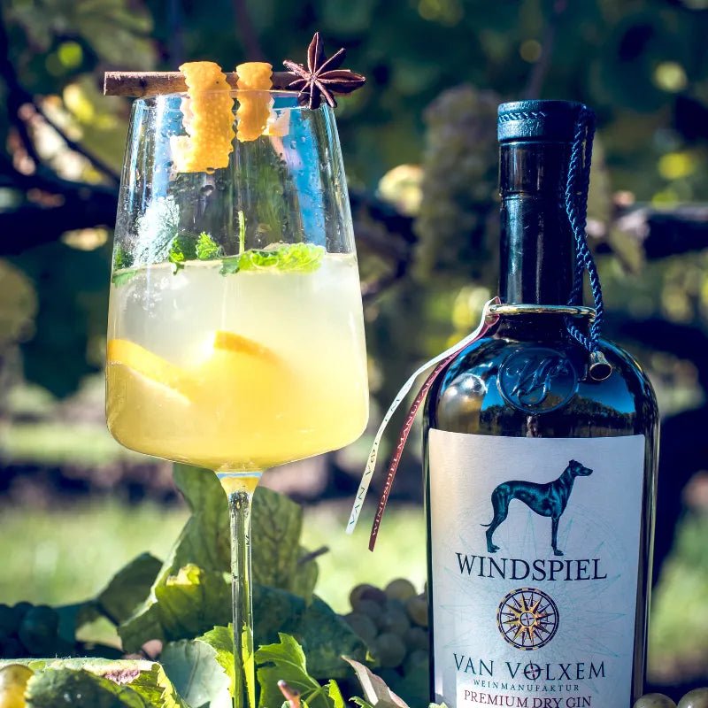Moodbild Windspiel Premium Dry Gin van Volxem