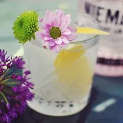 Niemand Dry Gin - GiNFAMILY