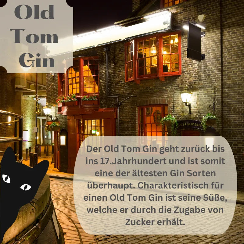 Kategoriebild Old Tom Gin 