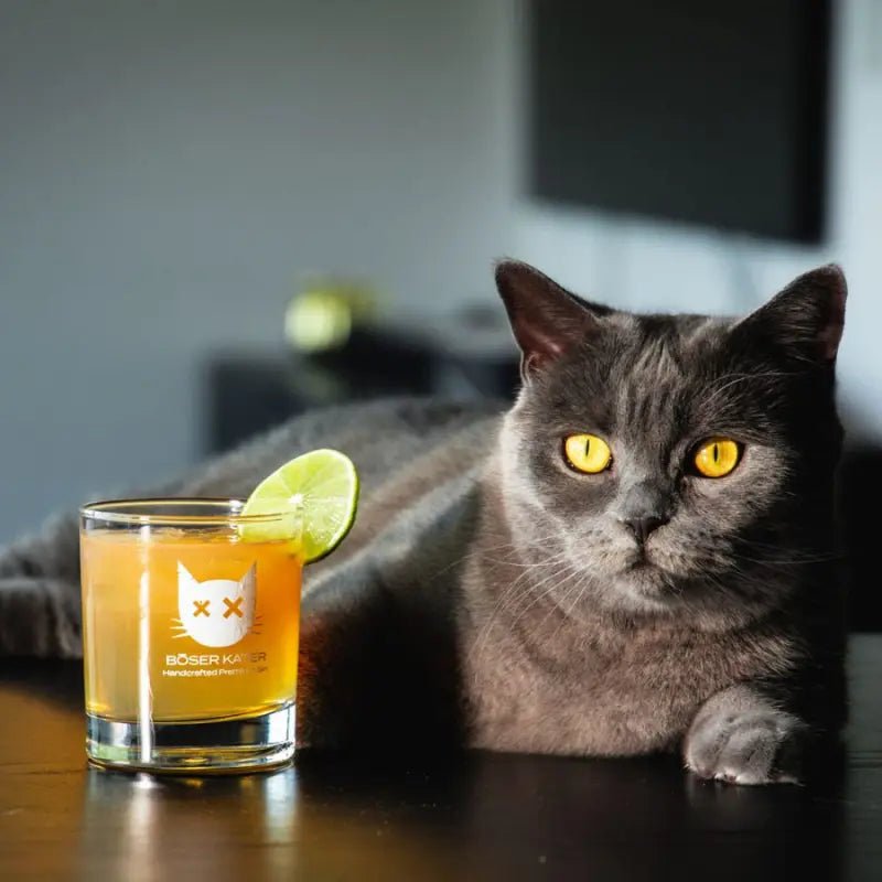 Böser Kater Grapefruit Gin - GiNFAMILY