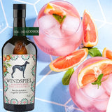 Windspiel Alkoholfrei Pink Grapefruit - GiNFAMILY