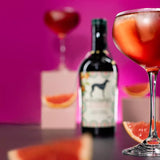 Windspiel Alkoholfrei Pink Grapefruit - GiNFAMILY