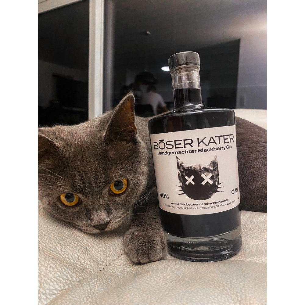 Böser Kater Blackberry Gin - GiNFAMILY