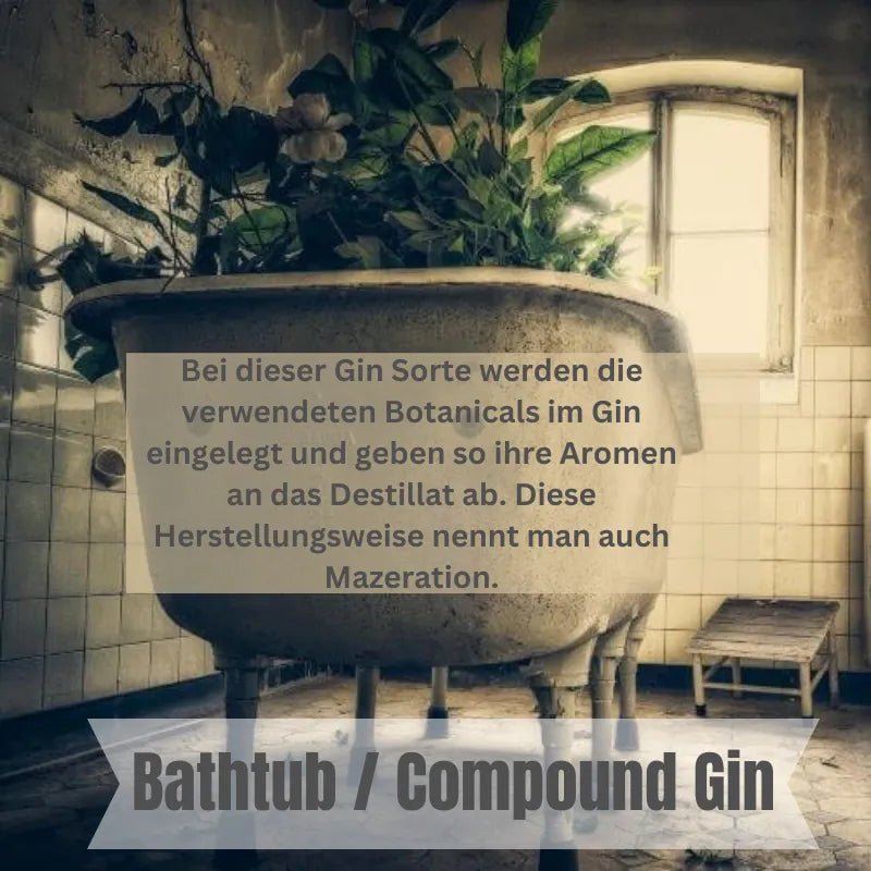 Böser Kater Premium Gin - GiNFAMILY