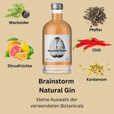 Brainstorm Natural Gin - GiNFAMILY