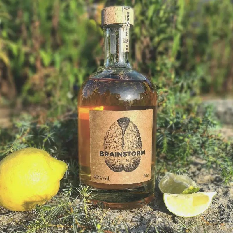 Brainstorm Original Gin - GiNFAMILY