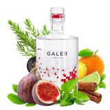 Galeb Dry Gin