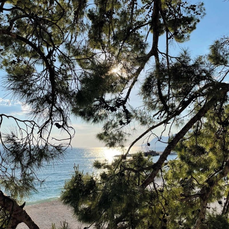 HUGS Cranberry Gin Likör - GiNFAMILY