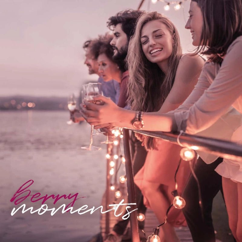 HUGS Cranberry Gin Likör - GiNFAMILY