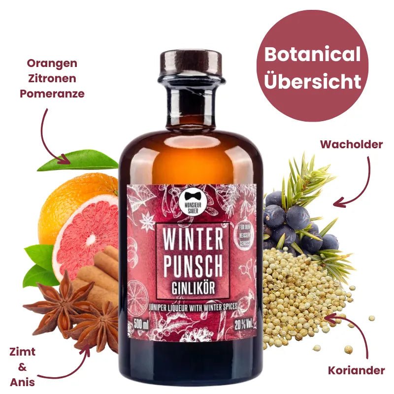 Monsieur Sauer Winterpunsch Ginlikör - GiNFAMILY