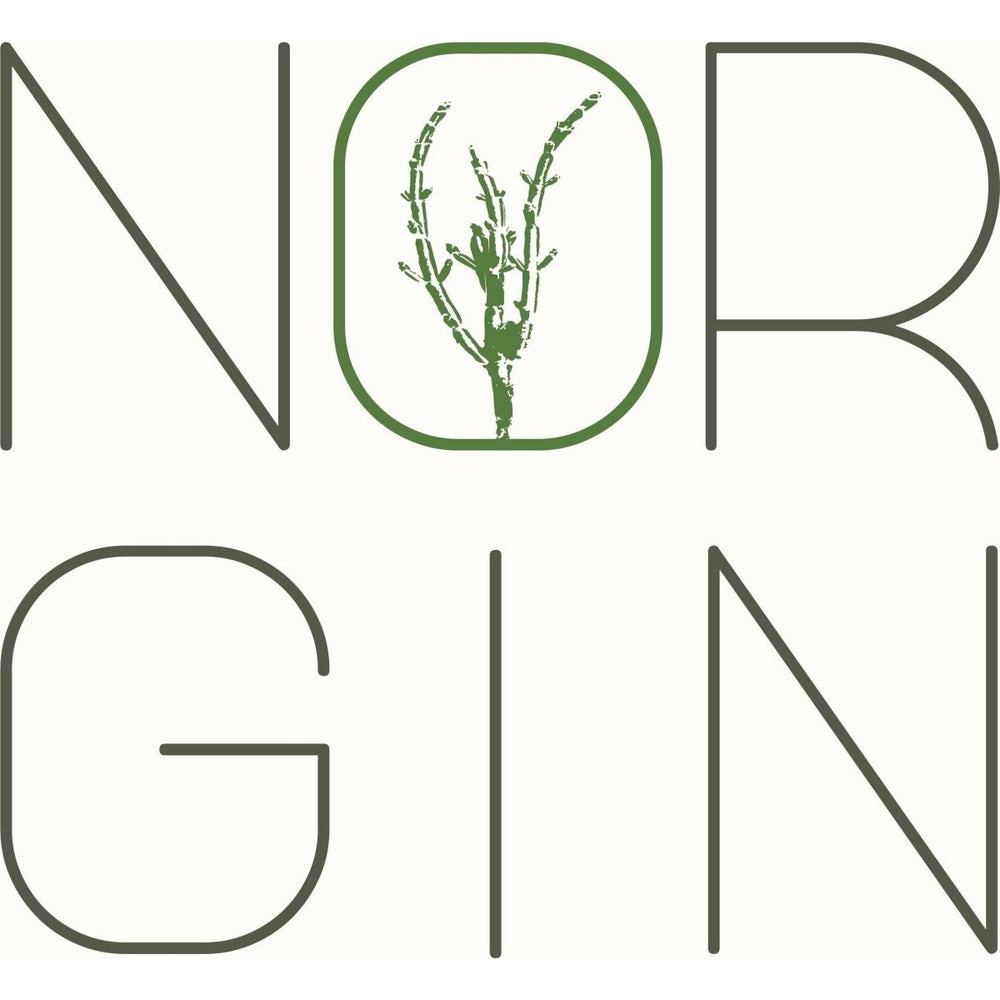 Logo NORGIN