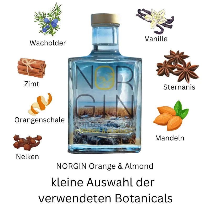 NORGIN Orange & Almond - GiNFAMILY