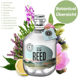 REED Sylt Gin - GiNFAMILY