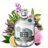 REED Sylt Gin