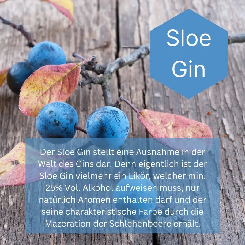 Sloe Berry Gin - GiNFAMILY