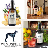 Windspiel Premium Dry Gin Navy Strength - GiNFAMILY