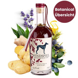 Windspiel Premium Sloe Gin - GiNFAMILY