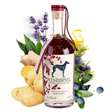 Windspiel Premium Sloe Gin